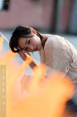 成年二人世界免费观看电视剧